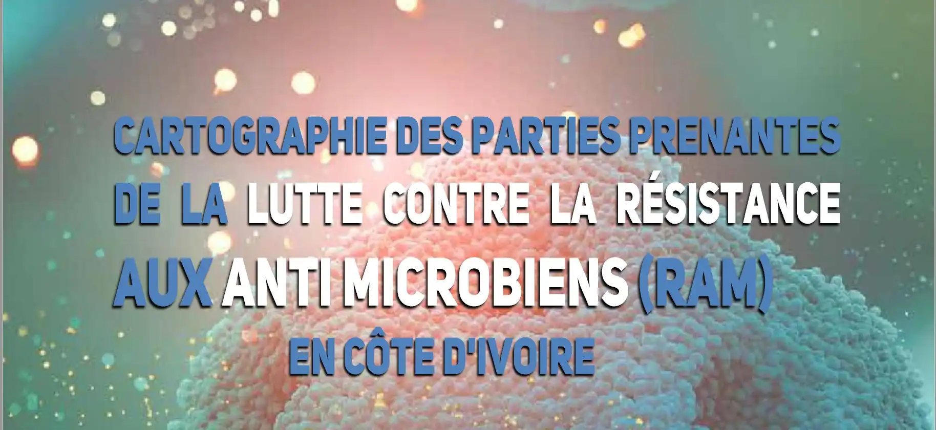 Lire la suite à propos de l’article Cartographie des parties prenantes de la lutte contre la résistance aux anti microbiens (ram) en côte d’ivoire